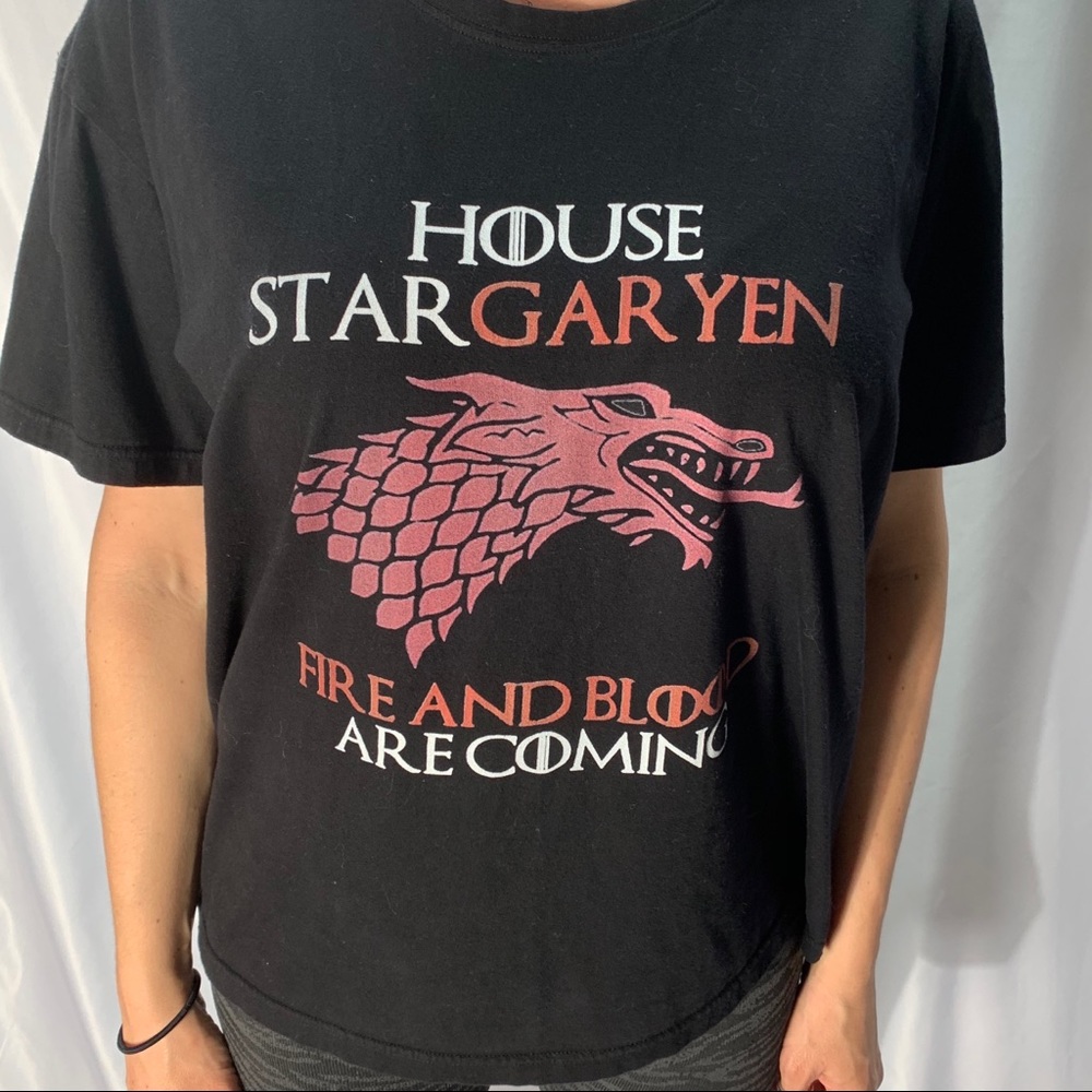 Game of Thrones House Stargaryen “Fire and Blood”